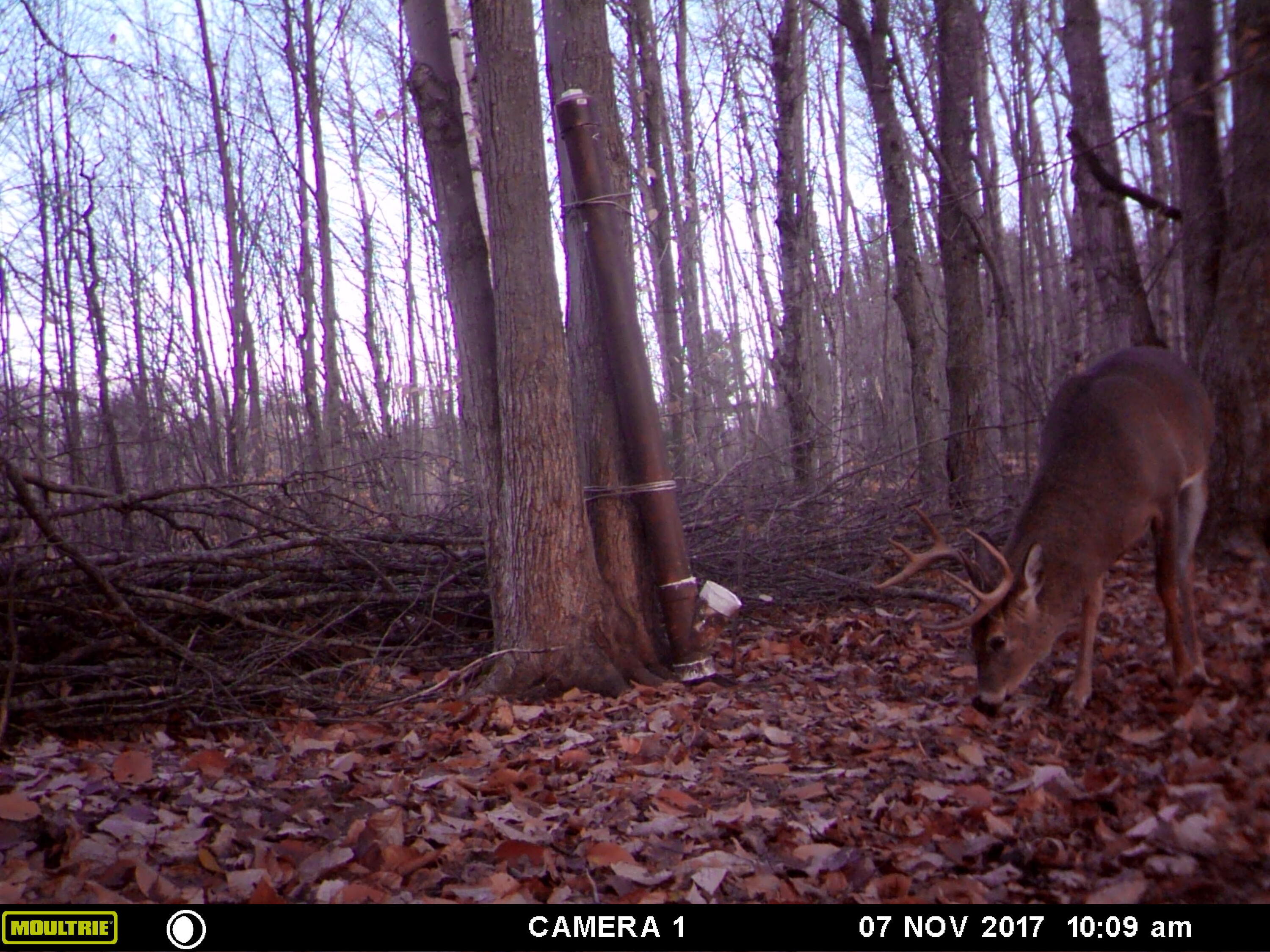 1621 Baker Road Northeast Kalkaska, MI 49646 - Photo 37 of 57 37