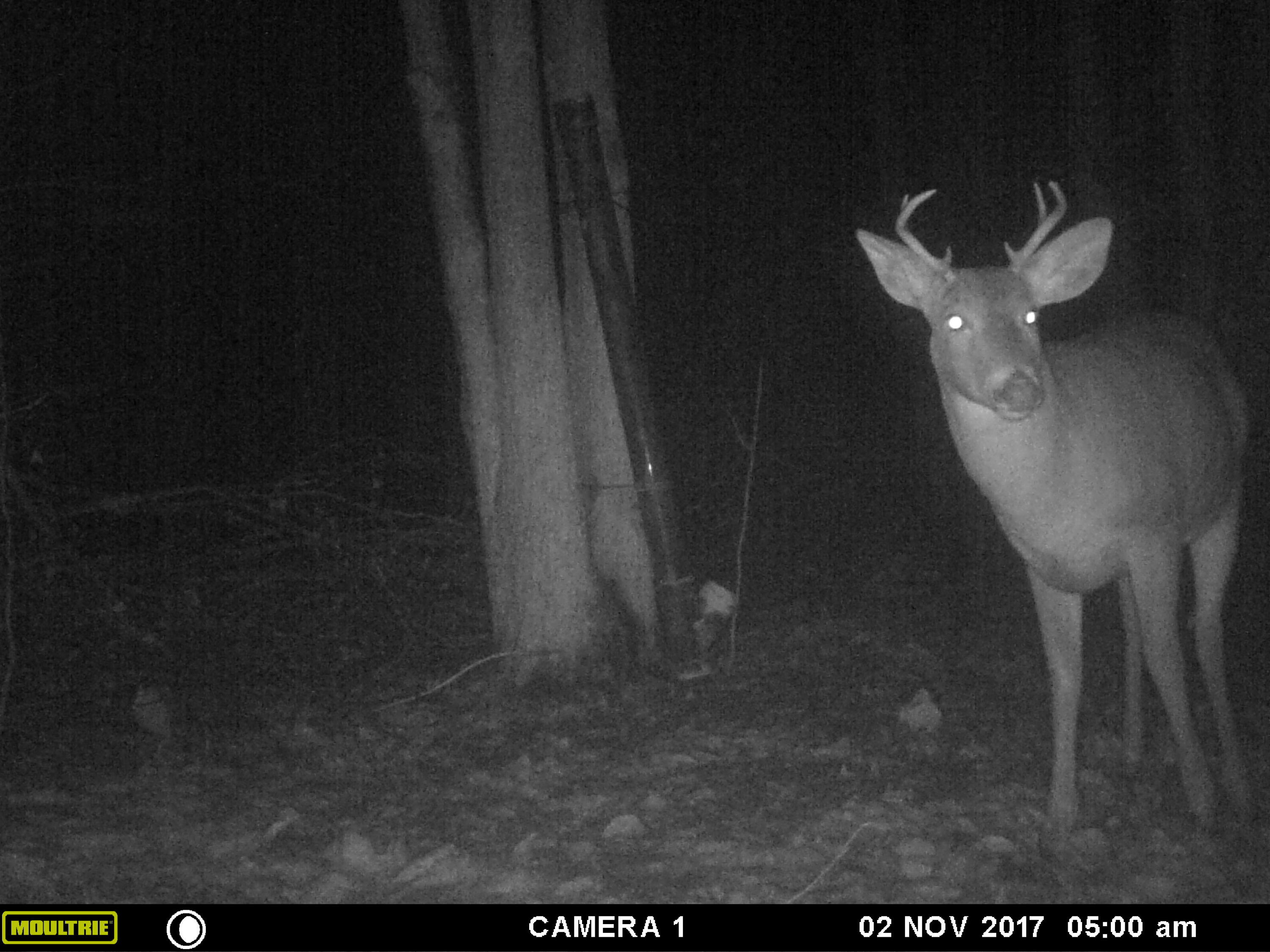 1621 Baker Road Northeast Kalkaska, MI 49646 - Photo 39 of 57 39