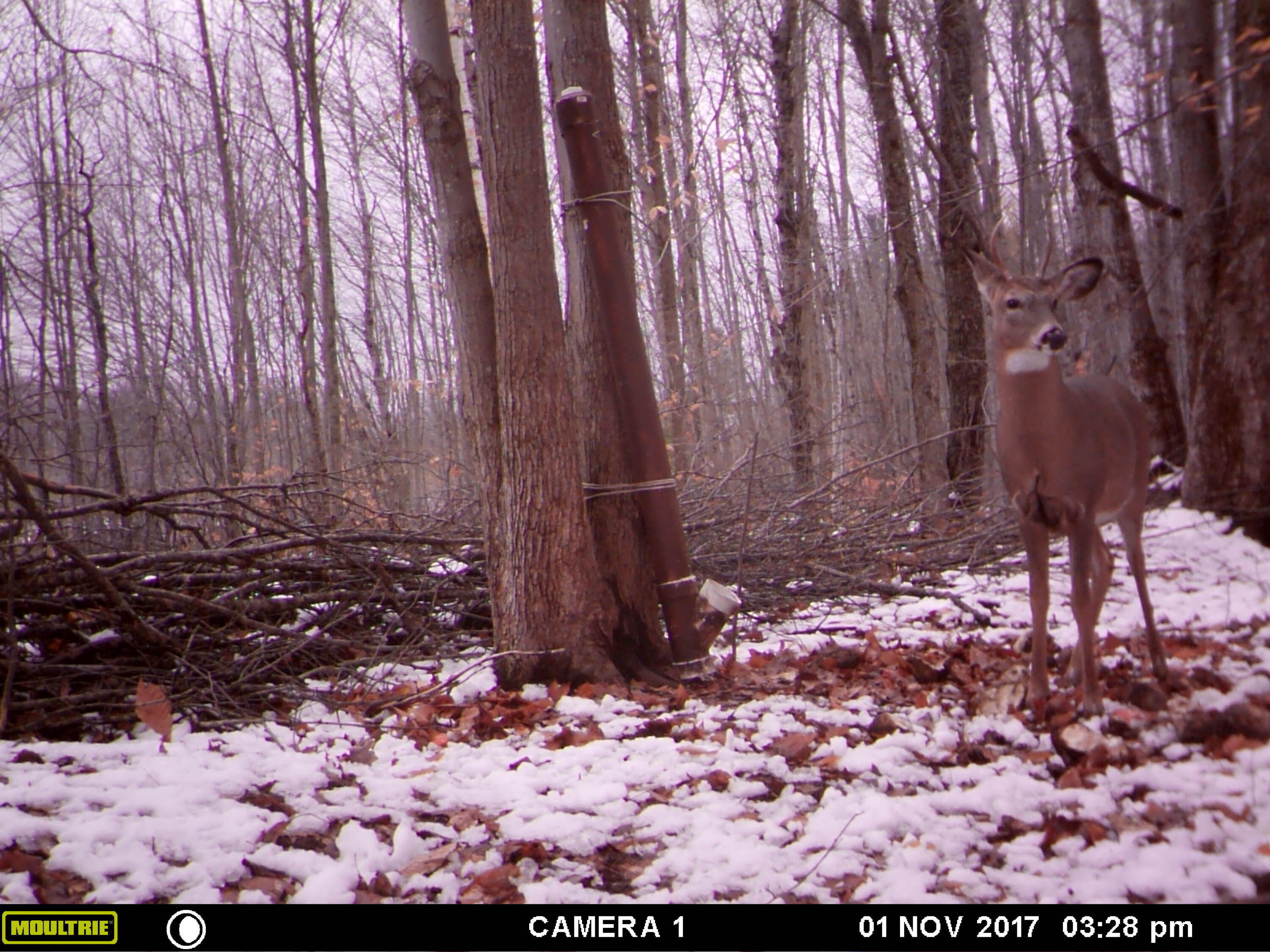 1621 Baker Road Northeast Kalkaska, MI 49646 - Photo 40 of 57 40