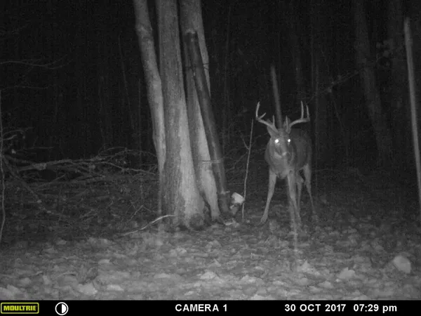 $65,000 | 1621 Baker Road Northeast, Kalkaska, MI 49646