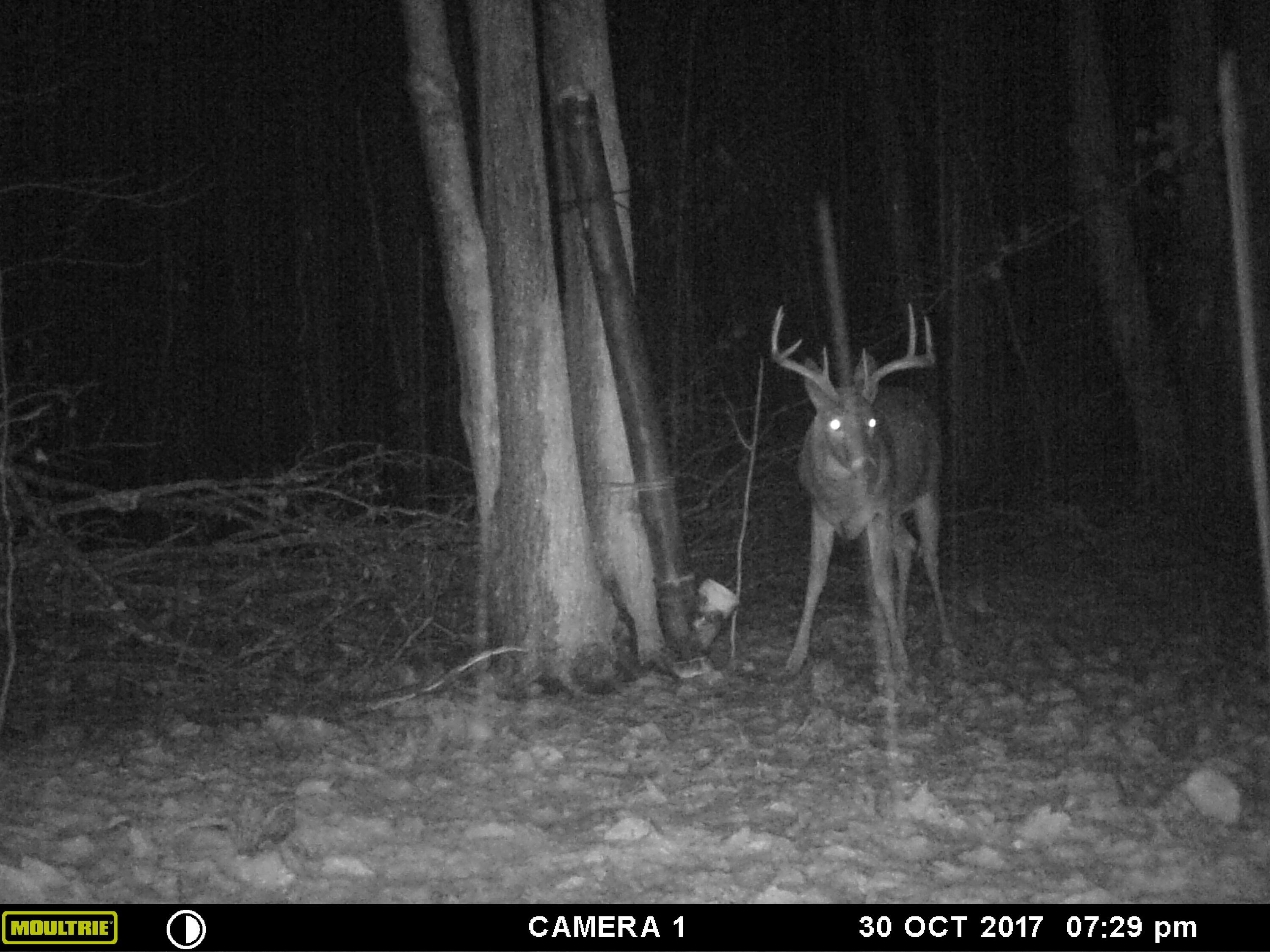 1621 Baker Road Northeast Kalkaska, MI 49646 - Photo 49 of 57 49