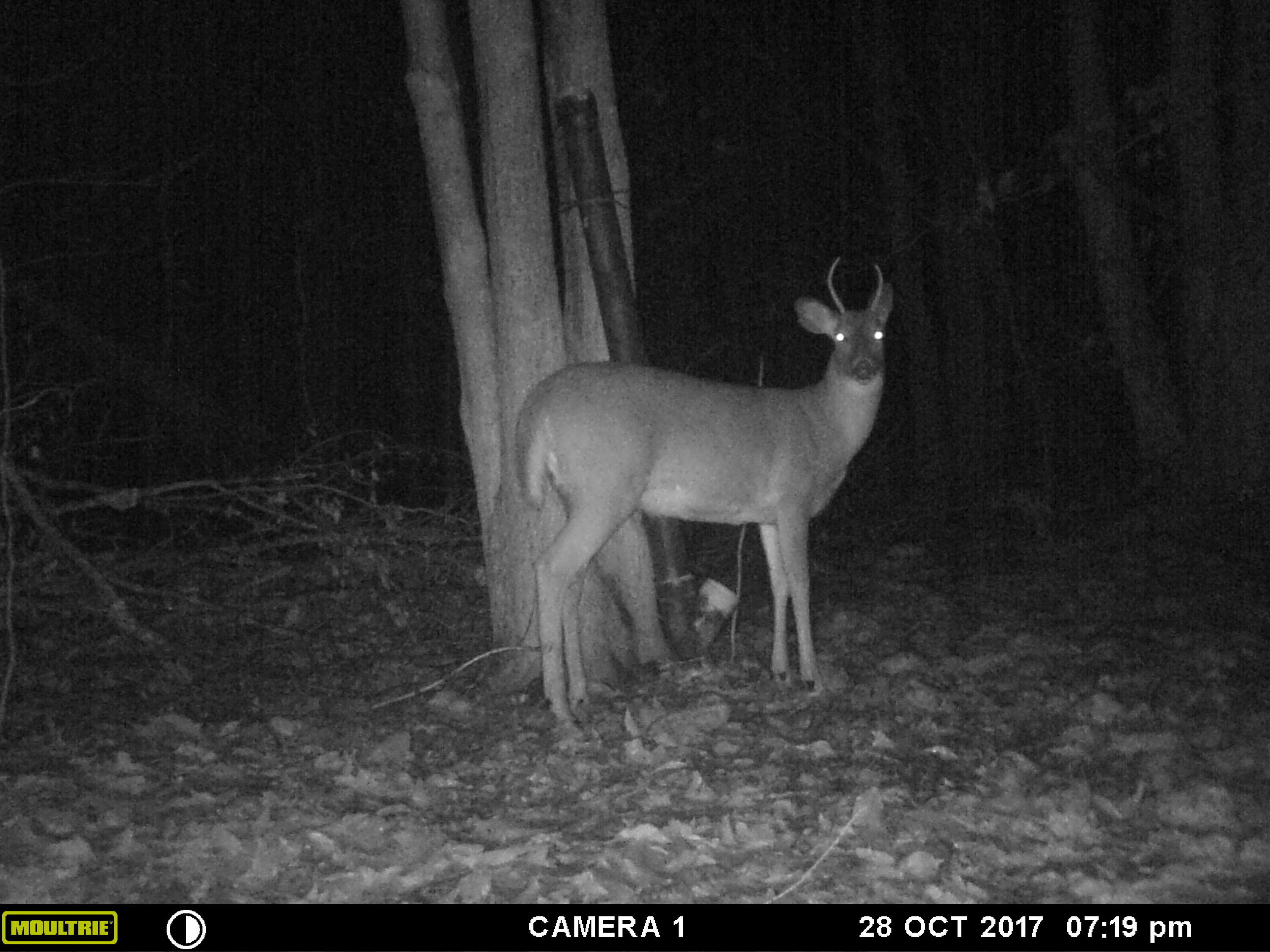 1621 Baker Road Northeast Kalkaska, MI 49646 - Photo 50 of 57 50