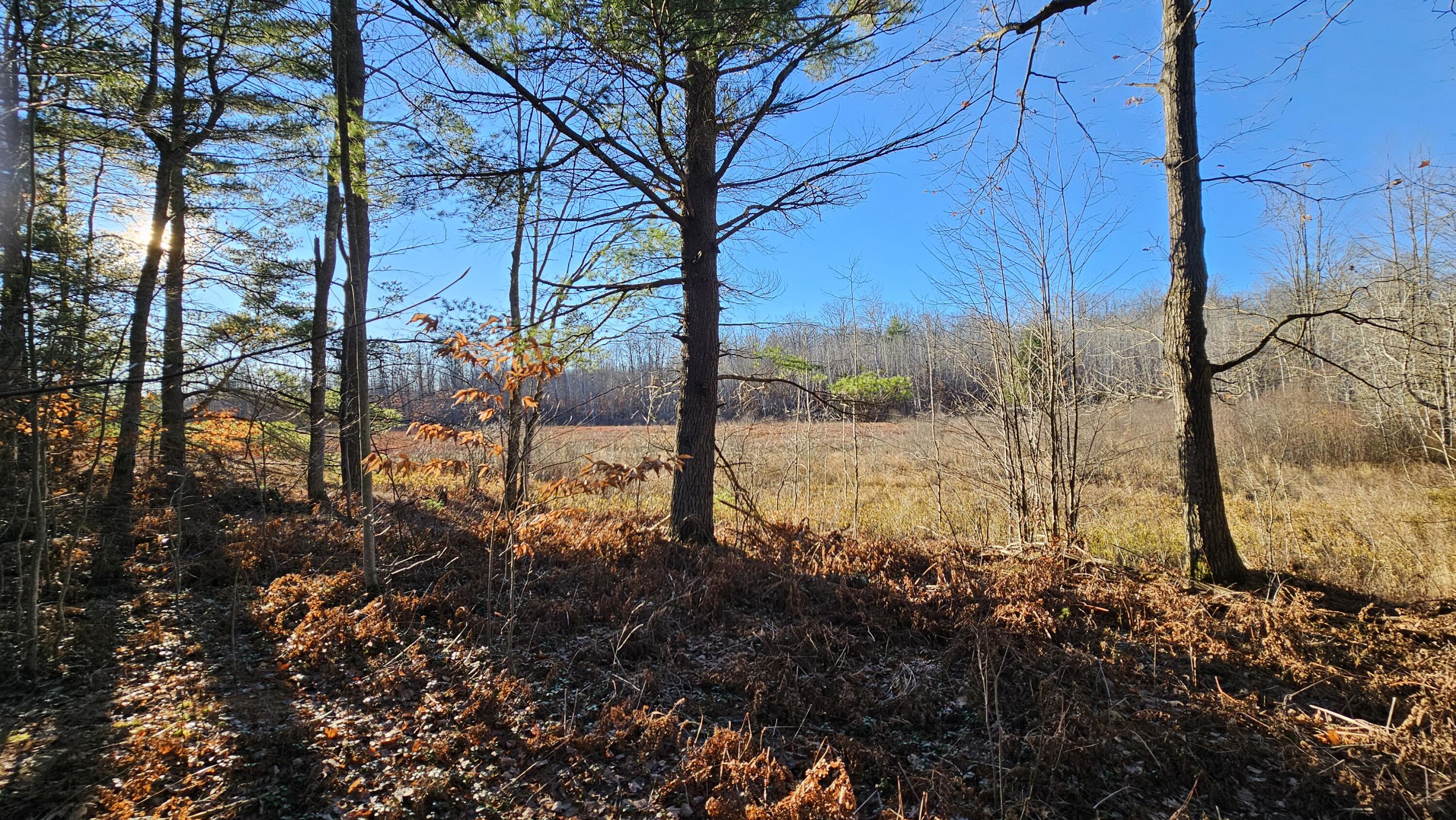 1621 Baker Road Northeast Kalkaska, MI 49646 - Photo 5 of 57 5