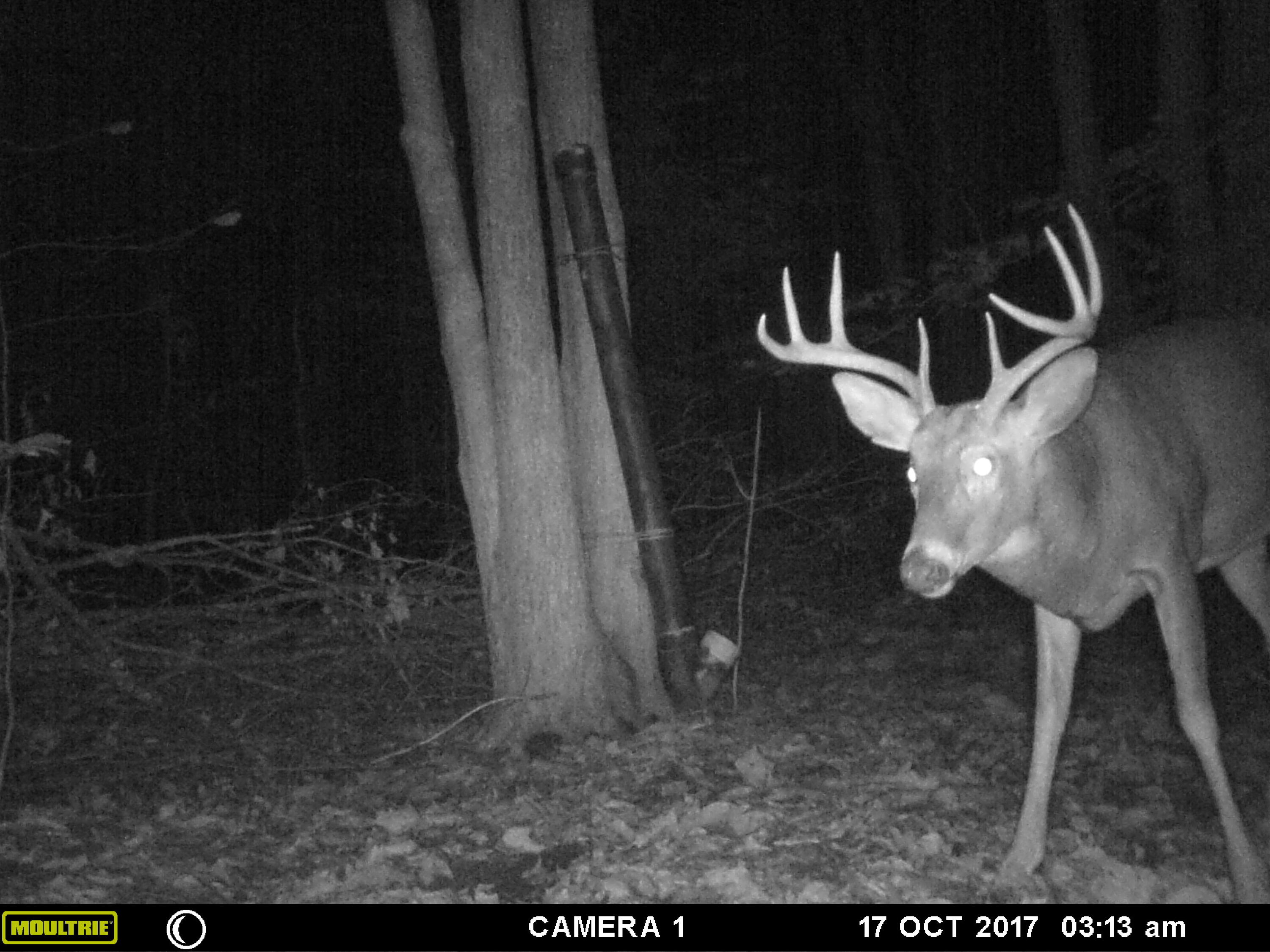 1621 Baker Road Northeast Kalkaska, MI 49646 - Photo 51 of 57 51