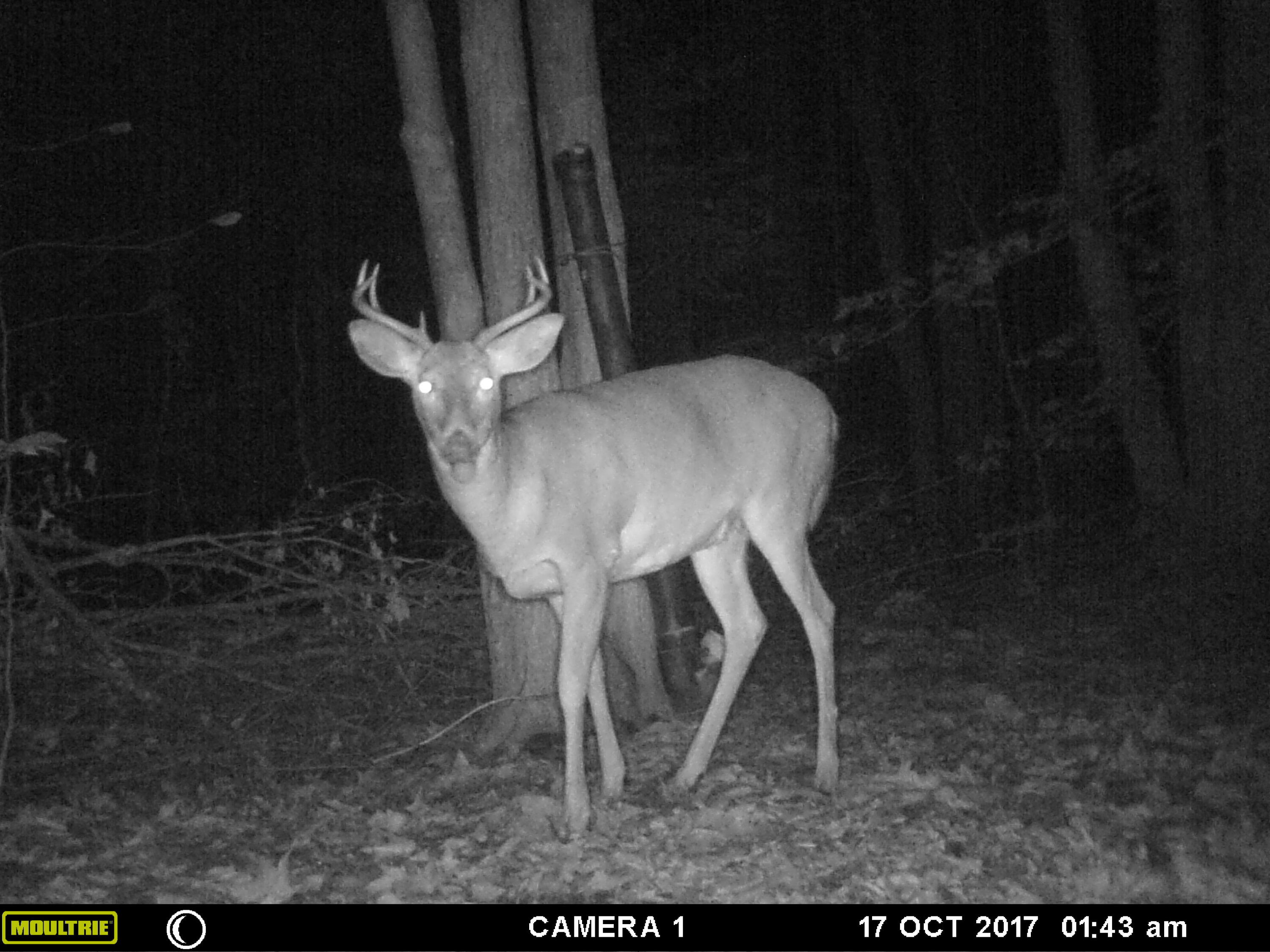 1621 Baker Road Northeast Kalkaska, MI 49646 - Photo 52 of 57 52