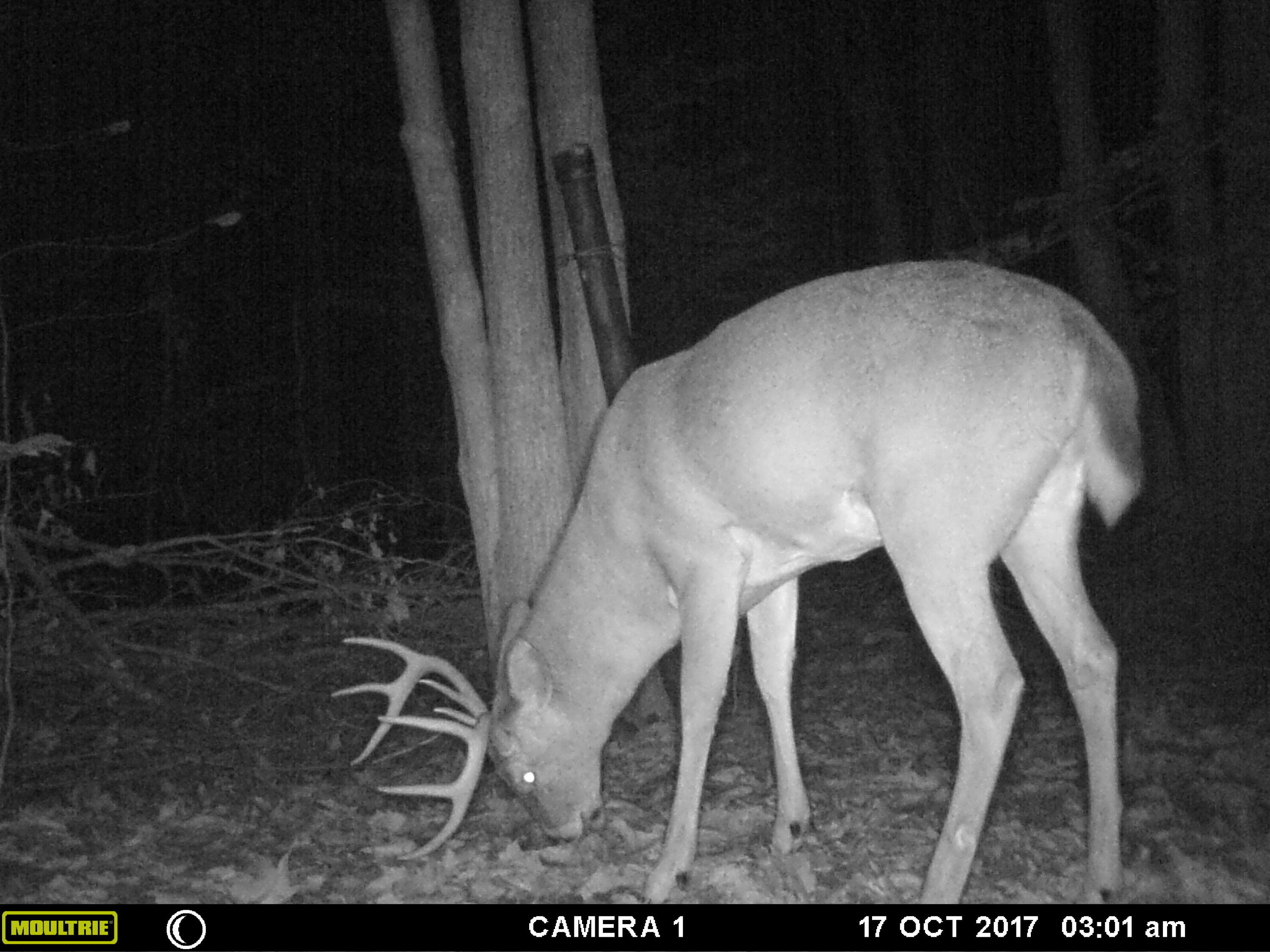 1621 Baker Road Northeast Kalkaska, MI 49646 - Photo 53 of 57 53