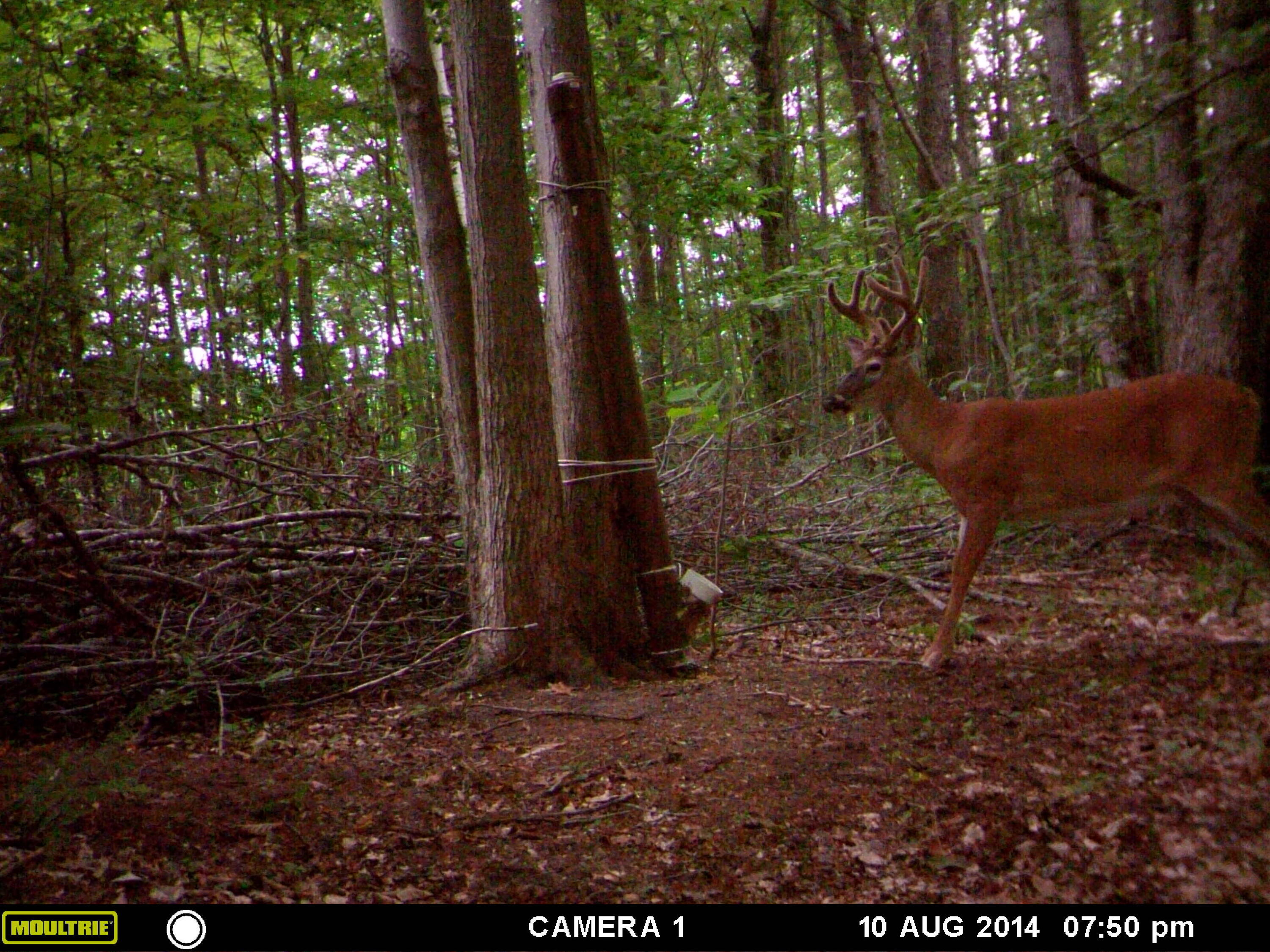 1621 Baker Road Northeast Kalkaska, MI 49646 - Photo 55 of 57 56