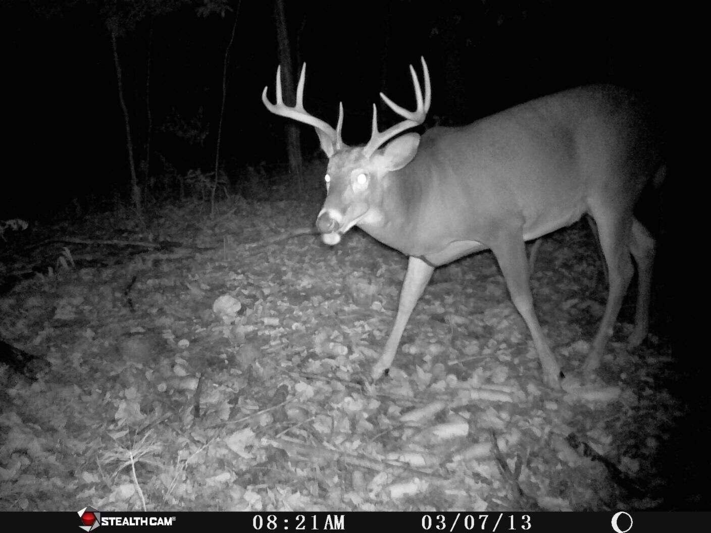 1621 Baker Road Northeast Kalkaska, MI 49646 - Photo 56 of 57 57