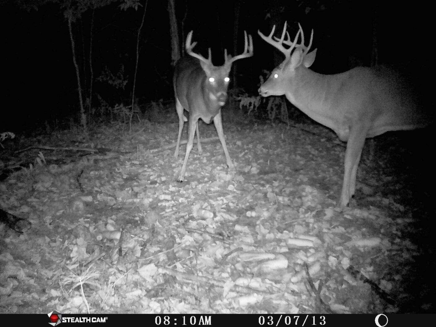 1621 Baker Road Northeast Kalkaska, MI 49646 - Photo 57 of 57 58