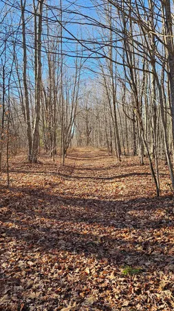 $65,000 | 1621 Baker Road Northeast, Kalkaska, MI 49646