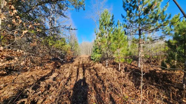 $65,000 | 1621 Baker Road Northeast, Kalkaska, MI 49646