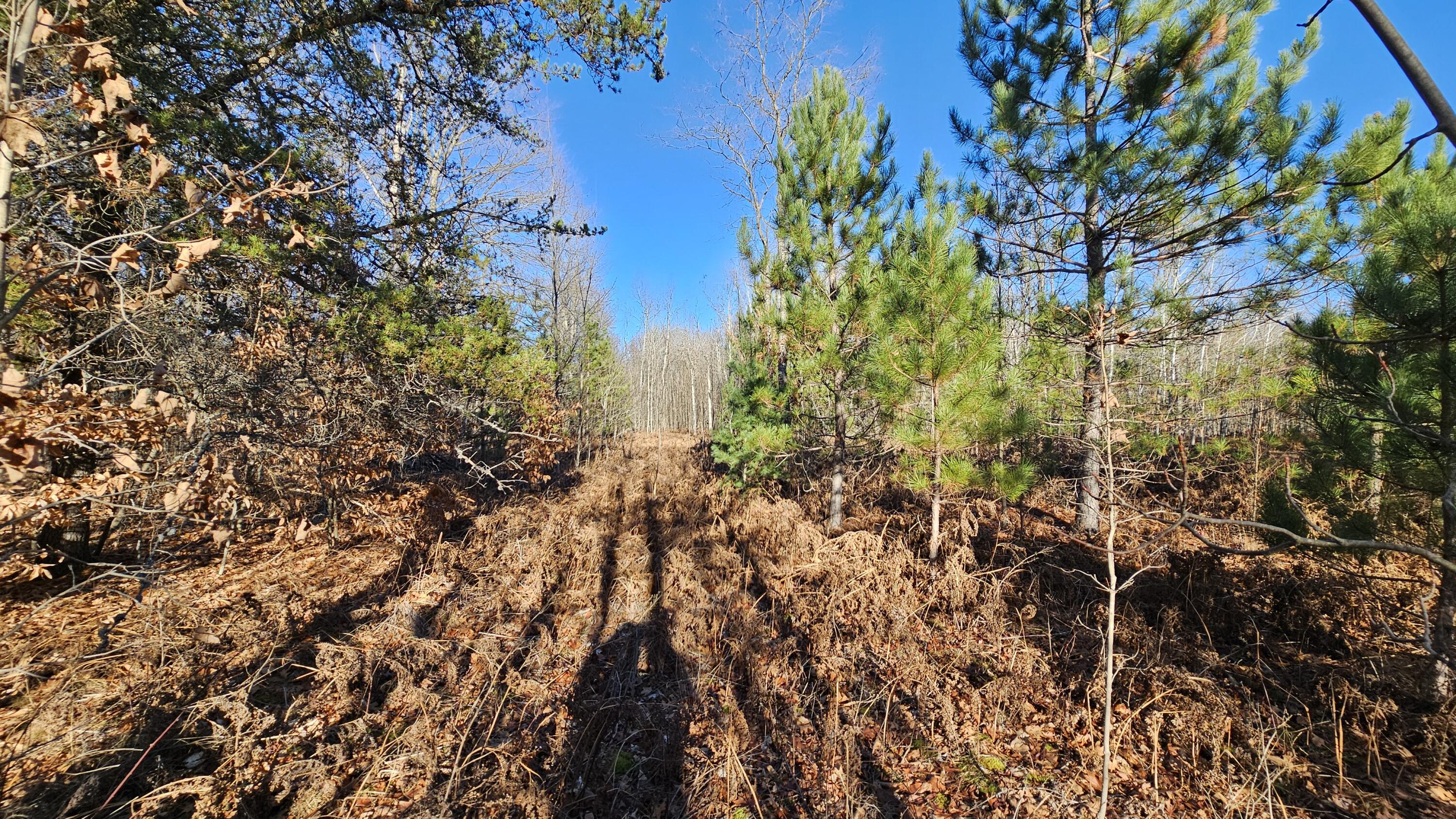 1621 Baker Road Northeast Kalkaska, MI 49646 - Photo 8 of 57 8