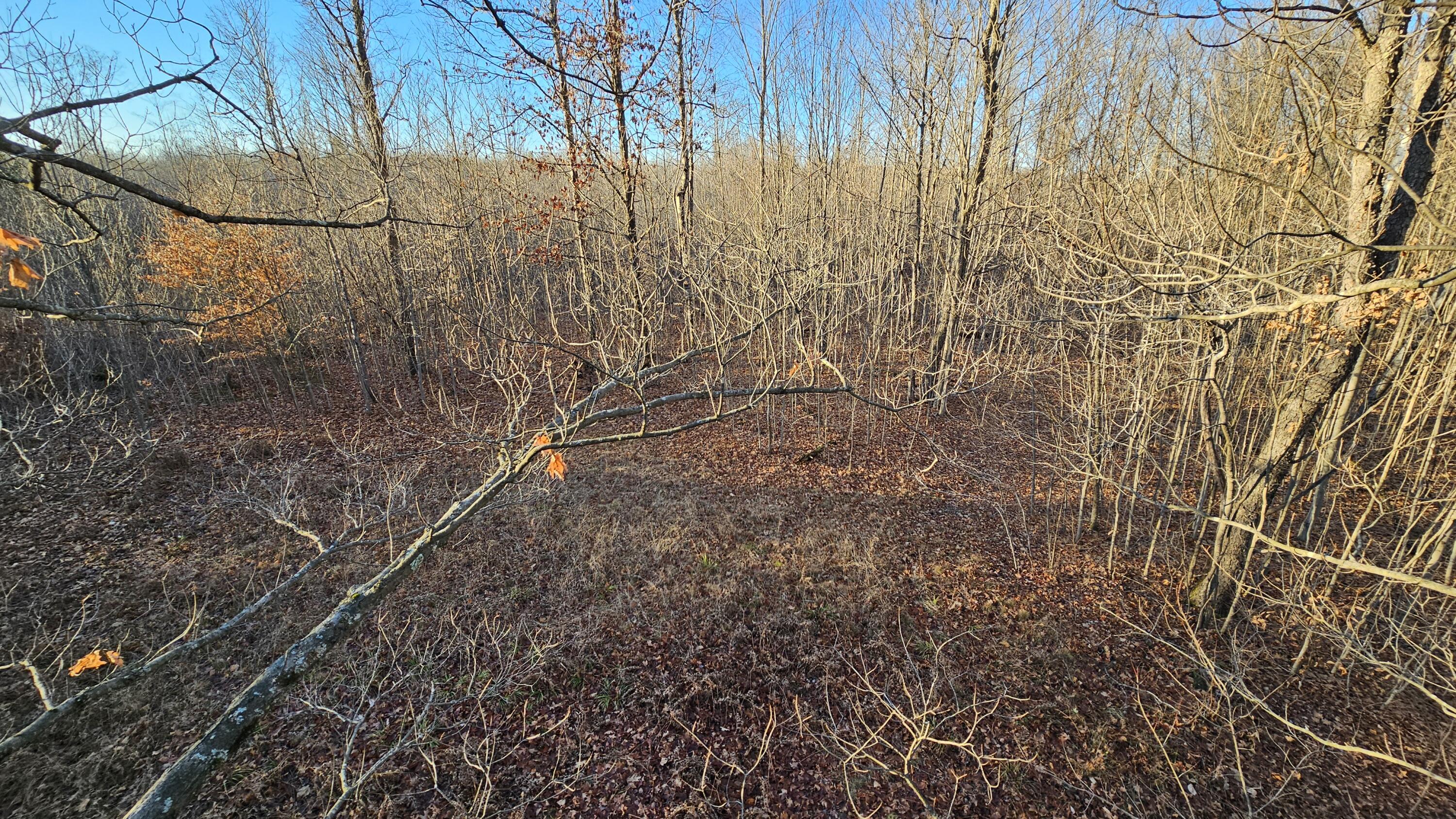 1621 Baker Road Northeast Kalkaska, MI 49646 - Photo 9 of 57 9