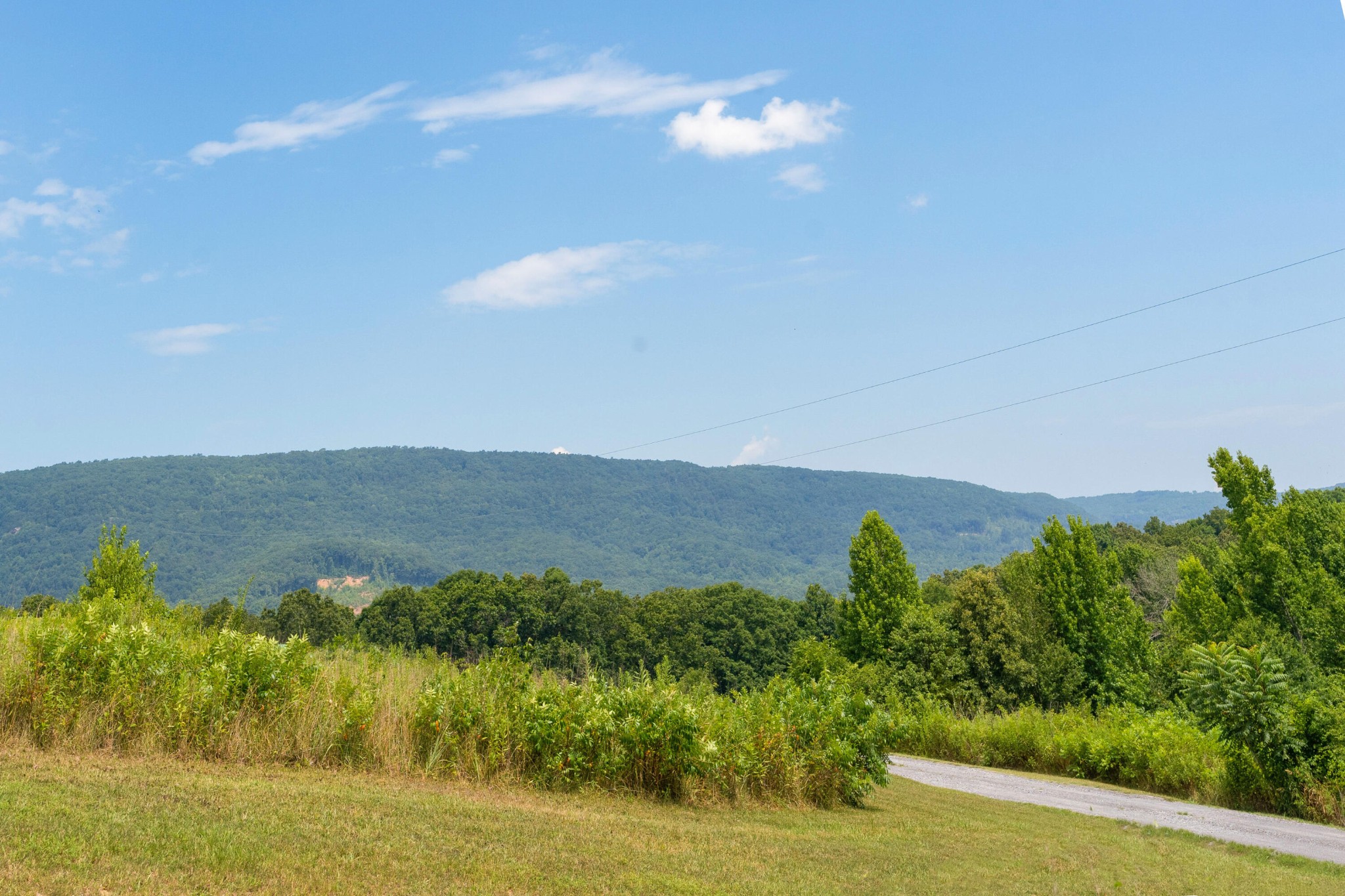 919 John Burch Road West Dunlap, TN 37327 - Photo 36 of 66