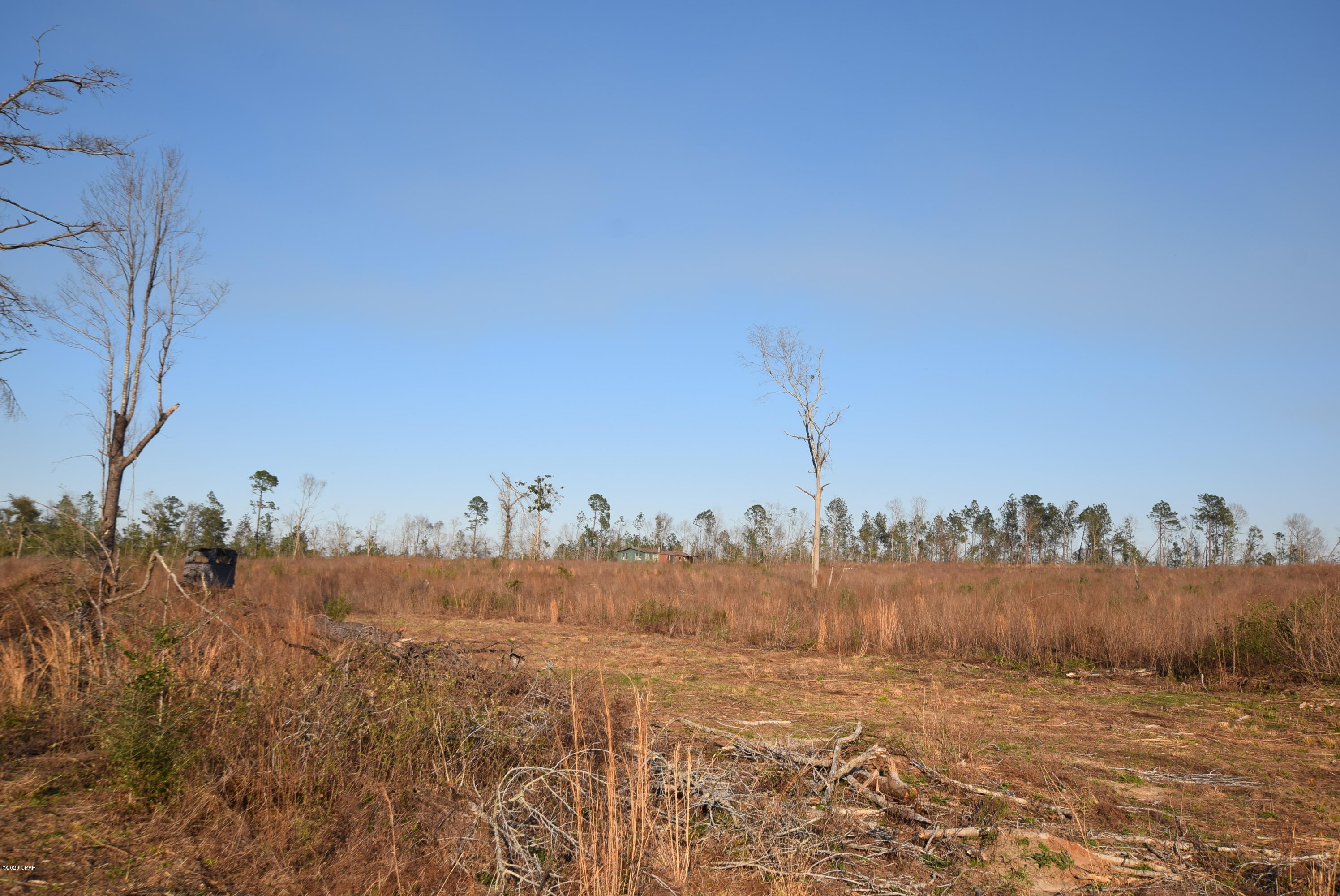 1416 Mill Road Alford, FL 32420 - Photo 36 of 60