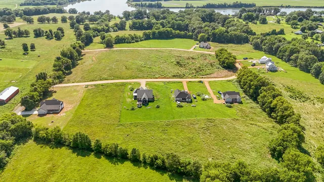 a view of a big yard with plants and large trees