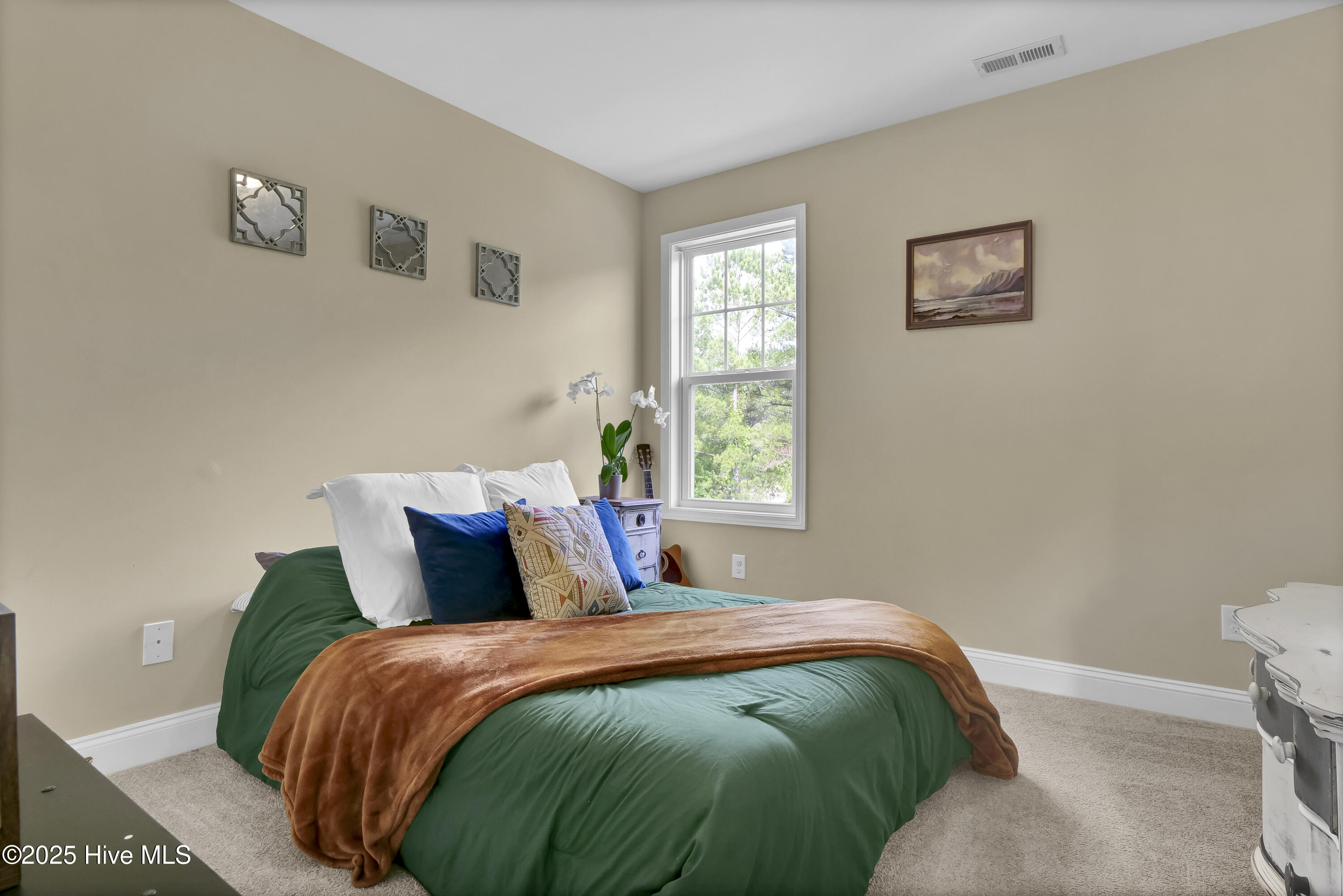 121 Poplar Branch Way Hampstead, NC 28443 - Photo 20 of 29 P1900044