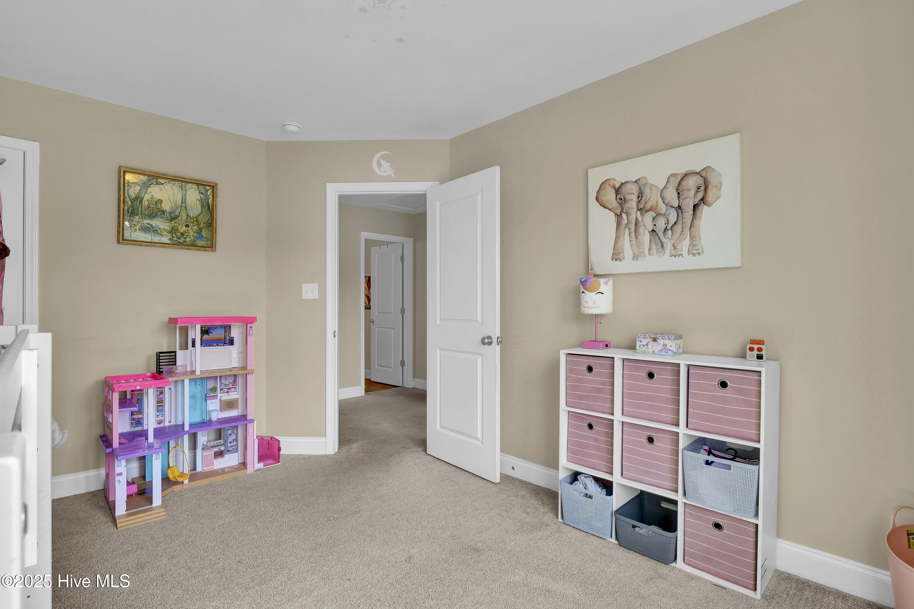 121 Poplar Branch Way Hampstead, NC 28443 - Photo 23 of 29 P1900034