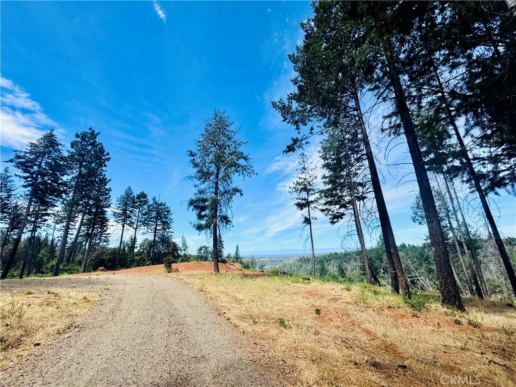 1400 Bader Mine Road Paradise, CA 95969 - Photo 16 of 16