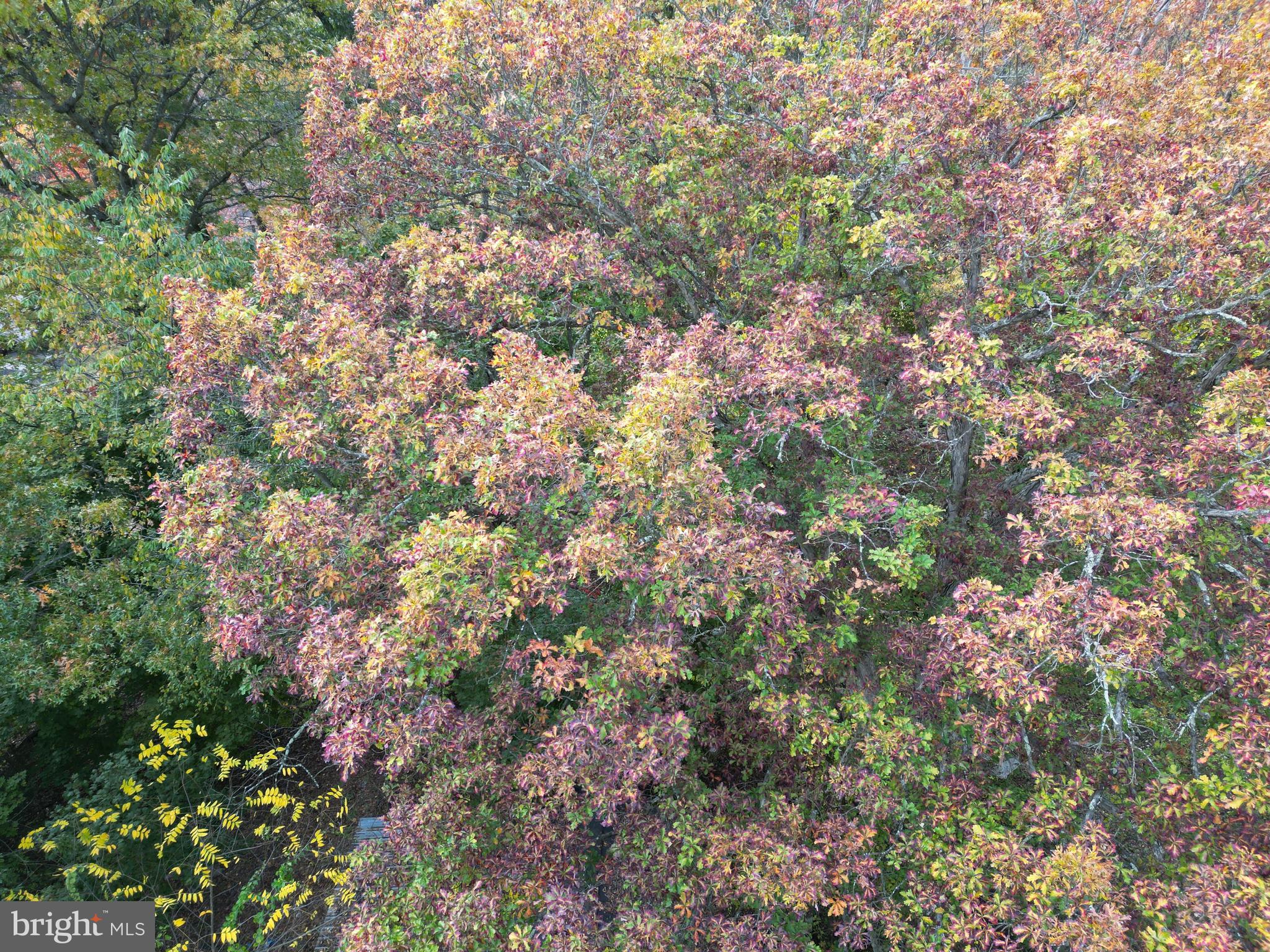 6852 Upper Road Shamokin, PA 17872 - Photo 25 of 41