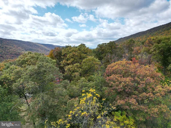a view of a dry yard and mountain view