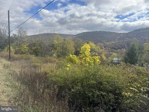 a view of yard