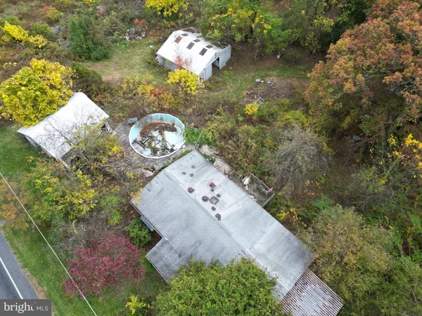 a view of a yard