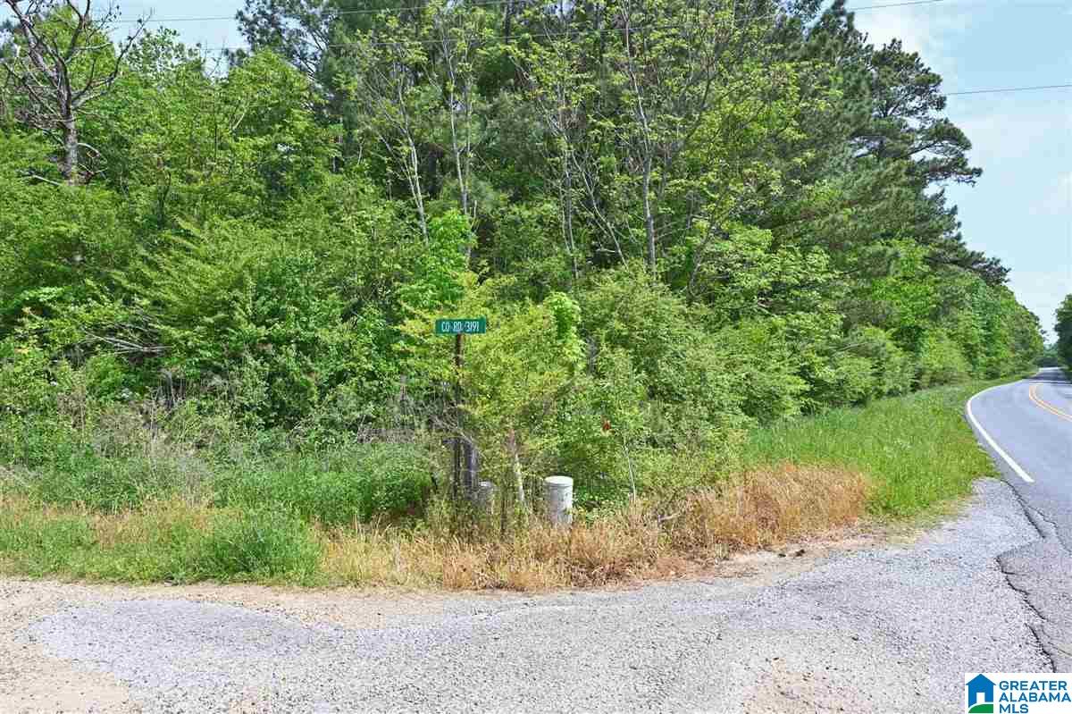 0 Helicon Road Arley, AL 35541 - Photo 2 of 6