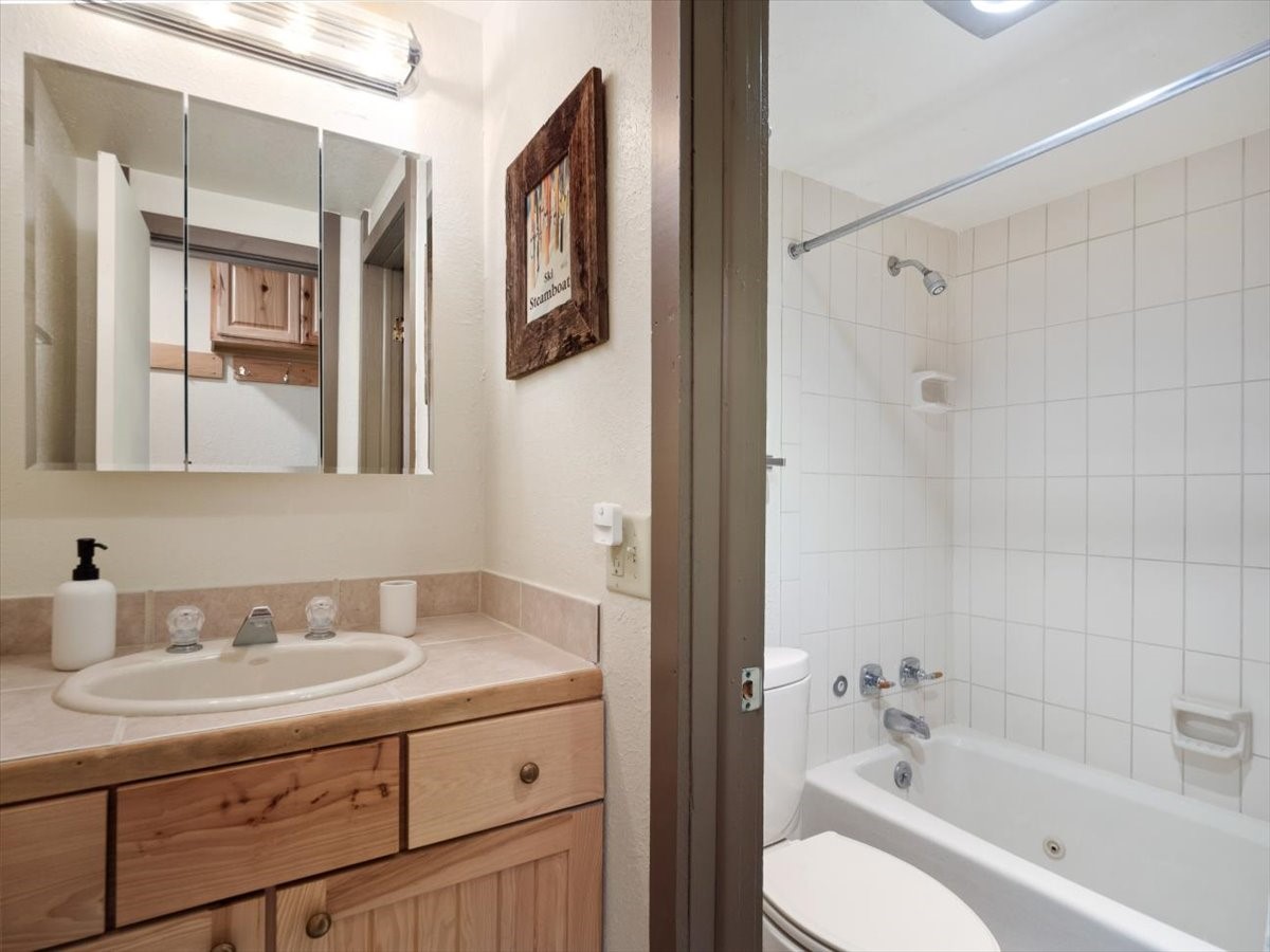 1161 Ski Hill Road, Unit 141 Breckenridge, CO 80424 - Photo 18 of 22 a bathroom with a sink toilet and shower