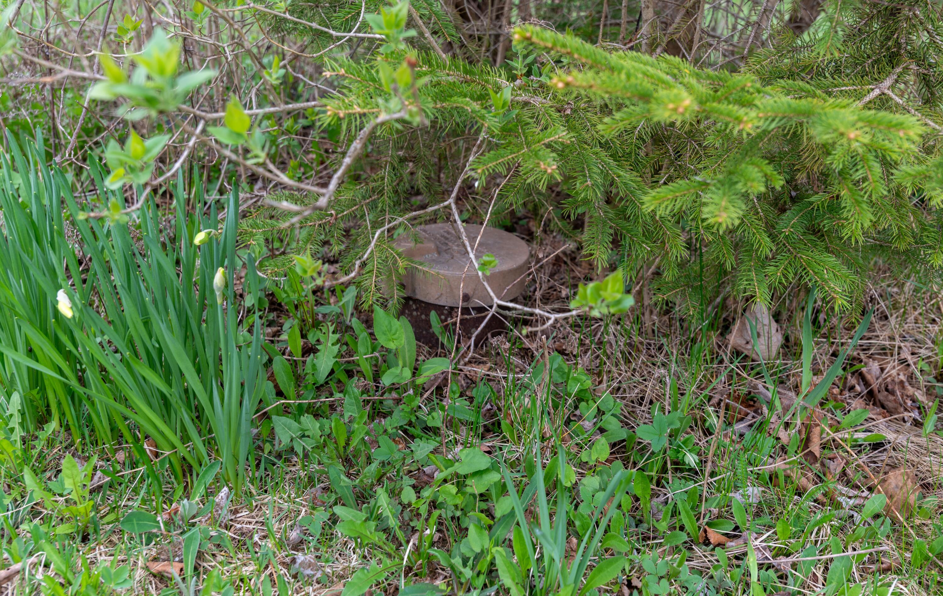 727 Beaulieu Road St. David, ME 04773 - Photo 14 of 39 Well