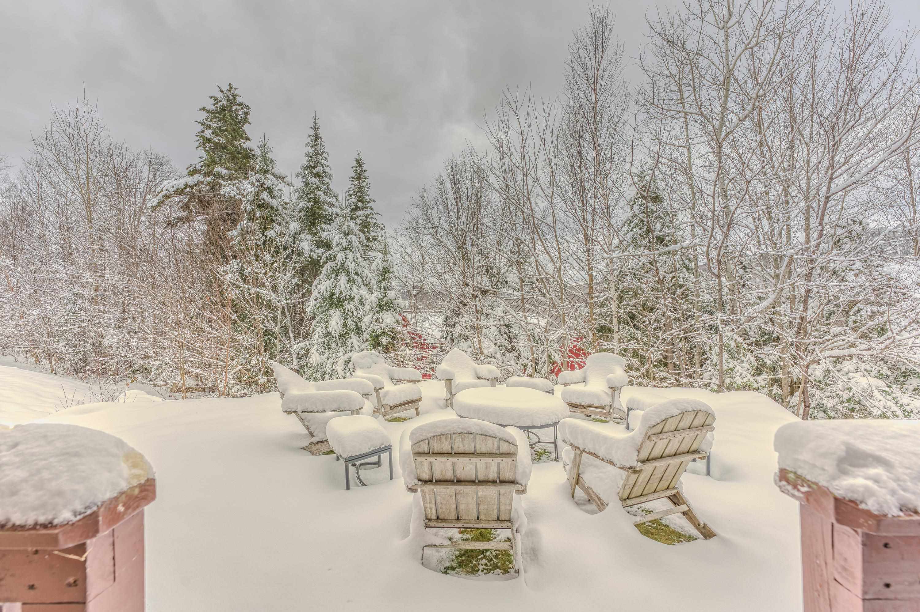 254 Crawford Ridge Road, Unit 3 Carroll, NH 03595 - Photo 34 of 36