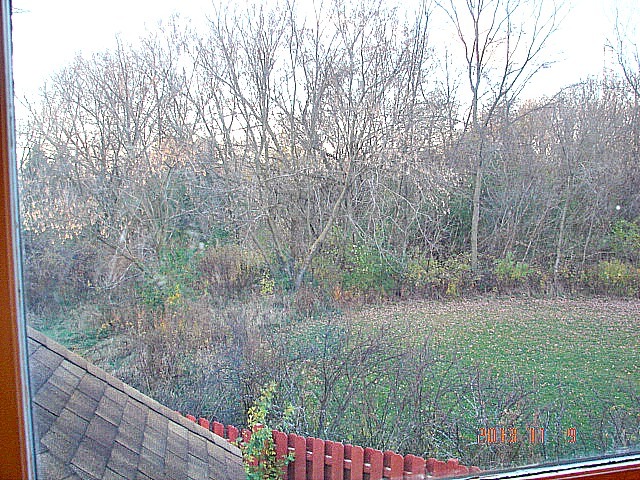 5353 Joshua Court Gurnee, IL 60031 - Photo 17 of 22 a view of outdoor space and yard