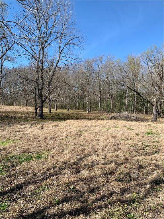 1447 Spring Bayou Road Marksville, LA 71351 - Photo 15 of 21