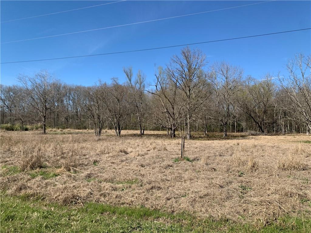 1447 Spring Bayou Road Marksville, LA 71351 - Photo 16 of 21