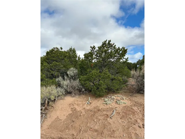 $14,500 | 1057 Hotchkiss Road, Fort Garland, CO 81133