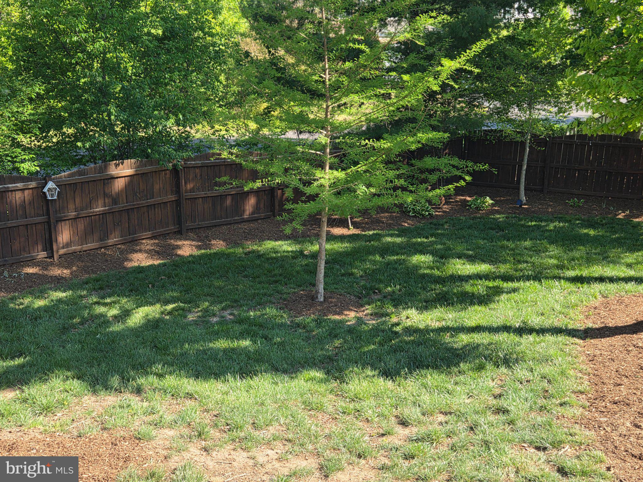 35175 Pheasant Ridge Road Locust Grove, VA 22508 - Photo 56 of 80 Lush green oasis with shaded tranquility.