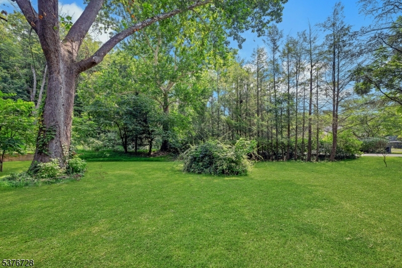 59 Main Street Peapack-Gladstone, NJ 07977 - Photo 30 of 30 a view of a lush green space