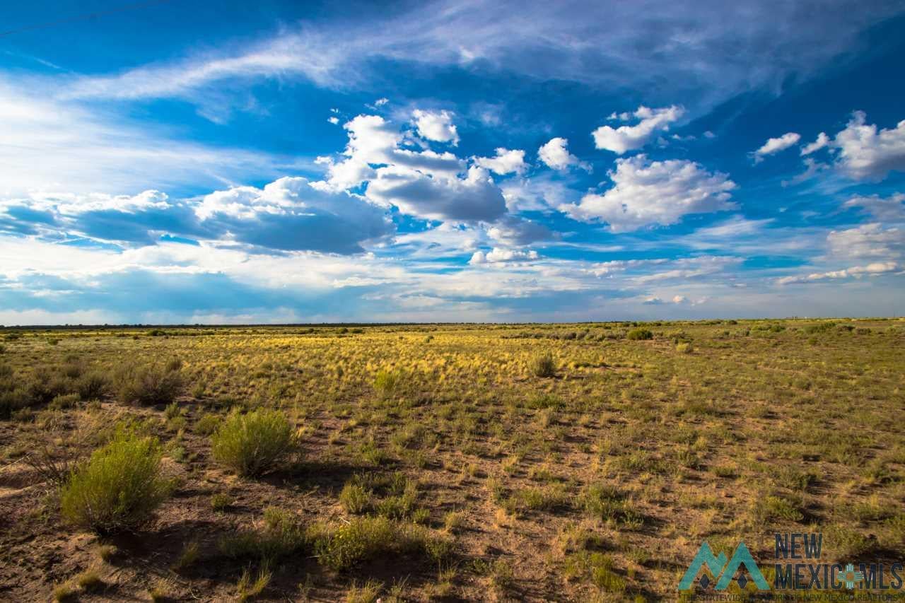 Lot 4 Jones Ranch Road Vanderwagen, NM 87326 - Photo 1 of 1