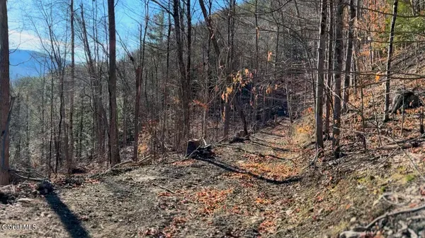 $55,000 | 0 Gorge Road, Middleburgh, NY 12122