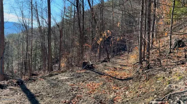 $55,000 | 0 Gorge Road, Middleburgh, NY 12122