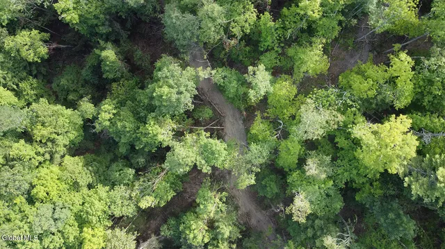 $55,000 | 0 Gorge Road, Middleburgh, NY 12122