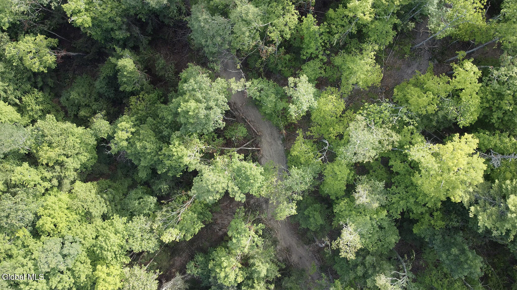 0 Gorge Road Middleburgh, NY 12122 - Photo 2 of 9 3) 64087-6984273edb723