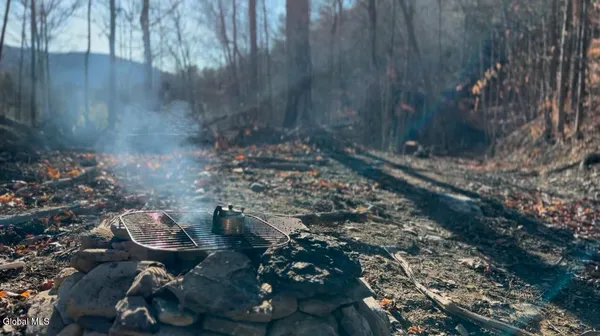 $55,000 | 0 Gorge Road, Middleburgh, NY 12122