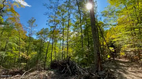 $55,000 | 0 Gorge Road, Middleburgh, NY 12122