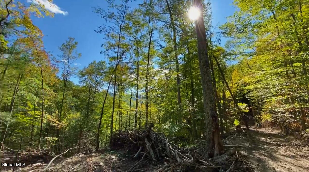 0 Gorge Road Middleburgh, NY 12122 - Photo 5 of 9 6) 64087-6984273dd04ff