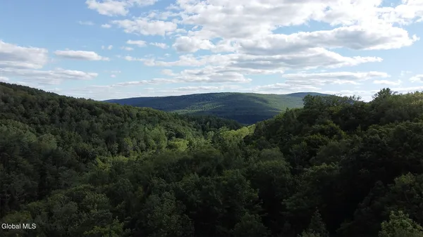 $55,000 | 0 Gorge Road, Middleburgh, NY 12122
