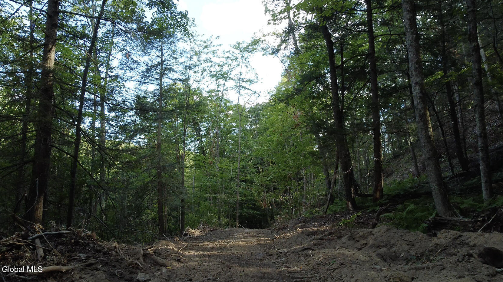 0 Gorge Road Middleburgh, NY 12122 - Photo 7 of 9 8) 64087-6984273f82c67