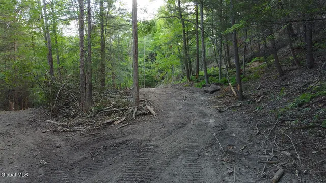 $55,000 | 0 Gorge Road, Middleburgh, NY 12122