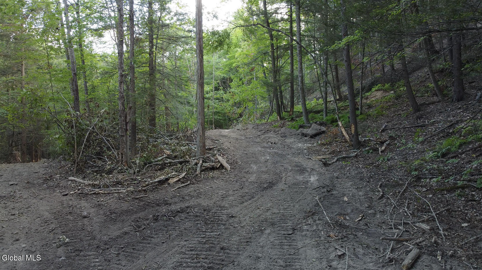 0 Gorge Road Middleburgh, NY 12122 - Photo 9 of 9 10) 64087-698427401ff66