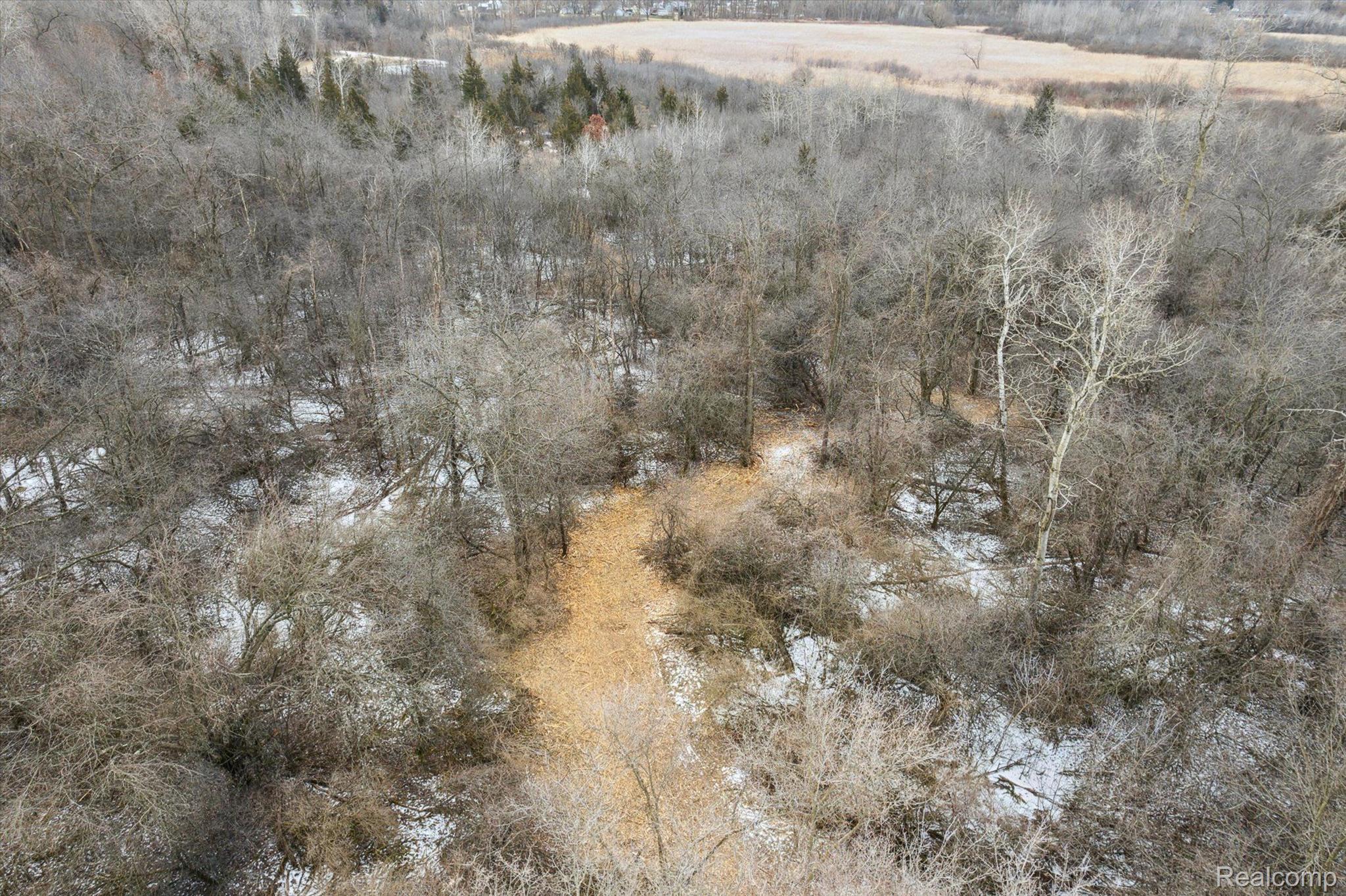 V/l Blake Road Jackson, MI 49202 - Photo 48 of 97 Gallery Image 48